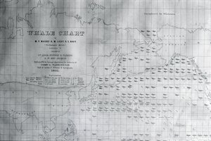 Carte des baleines du Pacifique Nord, 1851 - American School